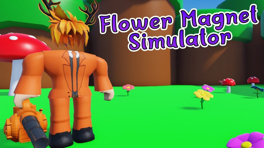 Flower Magnet Simulator Codes